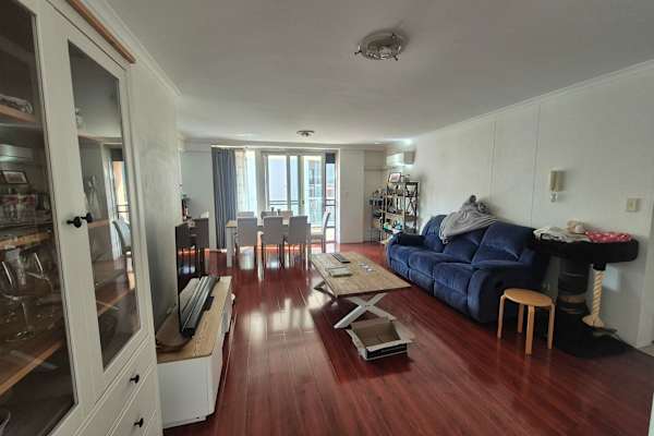 House sit in Sydney, NSW, Australia