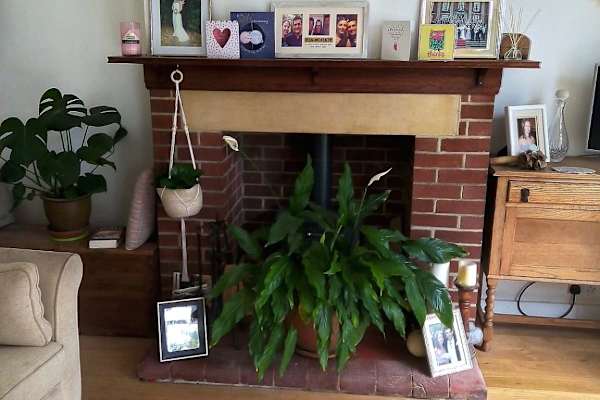 House sit in Darlington, United Kingdom