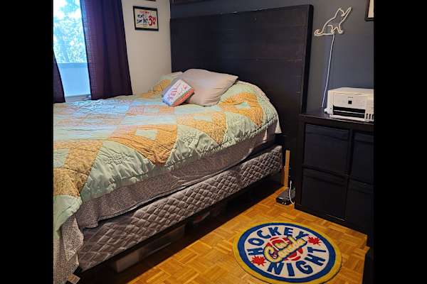 House sit in Toronto, ON, Canada