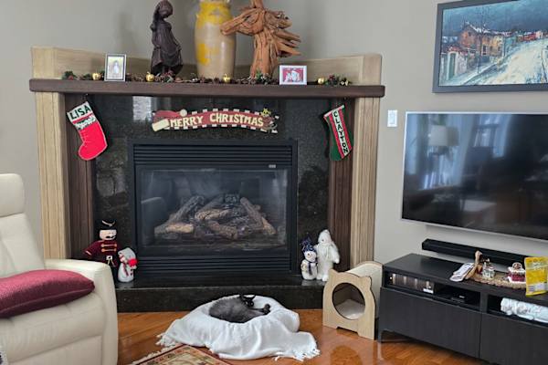 House sit in Ottawa, ON, Canada