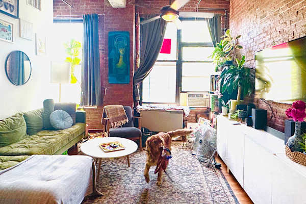 House sit in Brooklyn, NY, US