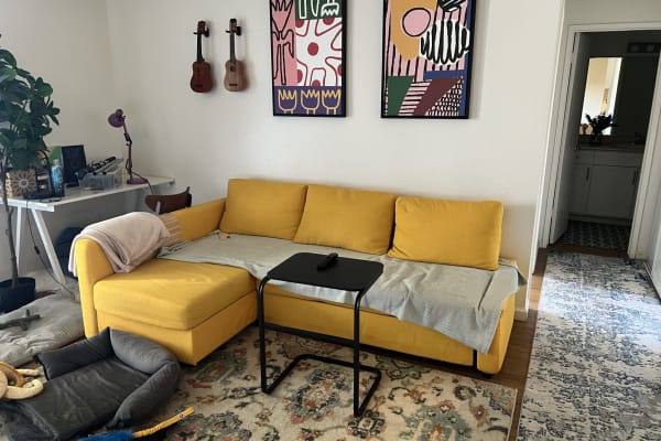 House sit in San Mateo, CA, US