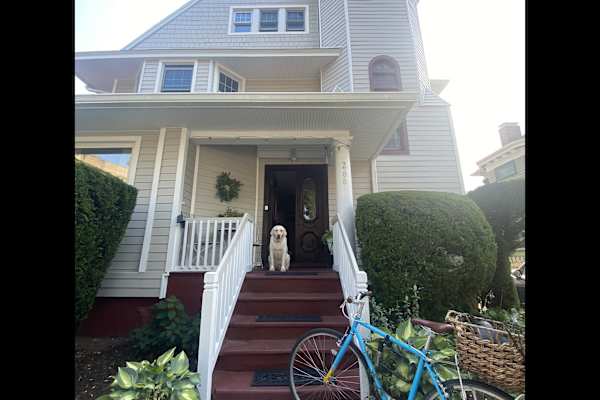 House sit in Brooklyn, NY, US