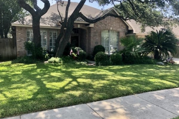 House sit in San Antonio, TX, US