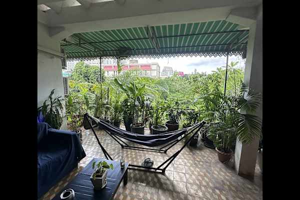 House sit in Phnom Penh, Cambodia
