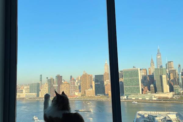 House sit in New York City, NY, US