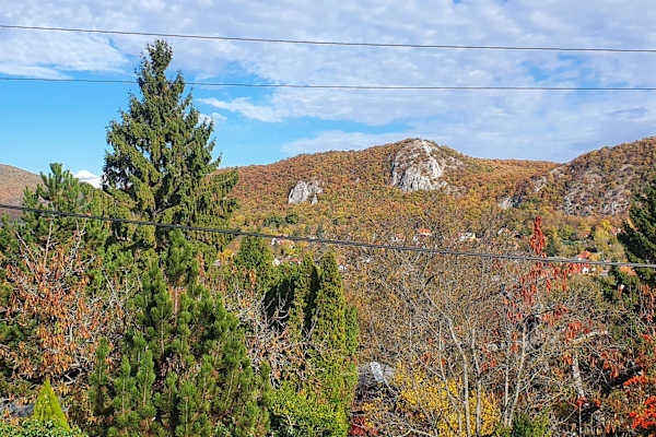 House sit in Budapest, Hungary