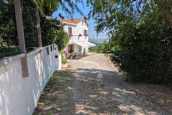House sit in Bisenti, Italy