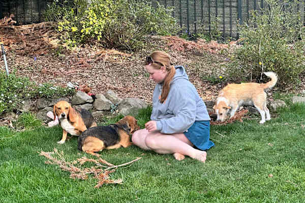 House sit in West Haven-Sylvan, OR, US