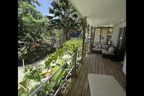 House sit in West Bay, Cayman Islands