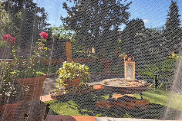 House sit in Florence, Italy