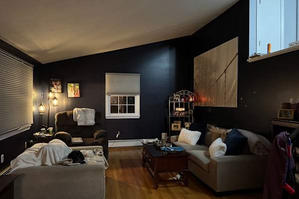House sit in Northampton, MA, US