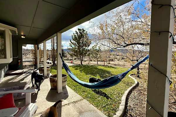 House sit in Reno, NV, US