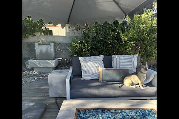 House sit in Carlsbad, CA, US