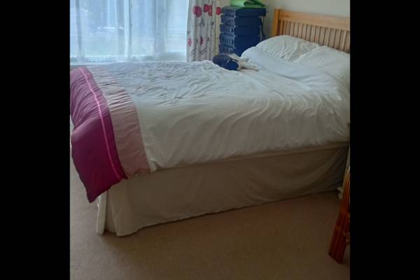 House sit in Gillingham, United Kingdom
