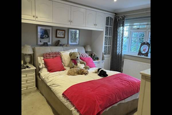 House sit in Weybridge, United Kingdom