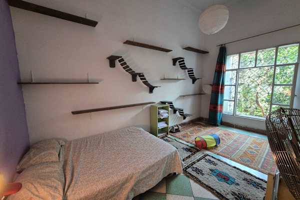 House sit in Fes, Morocco