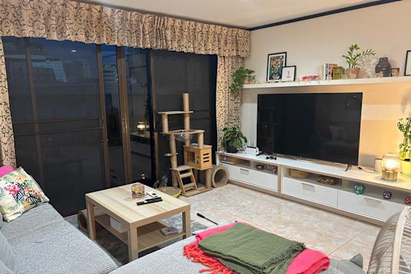 House sit in Bangkok, Thailand