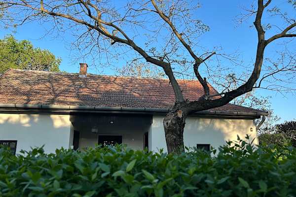 House sit in Jászkarajenő, Hungary