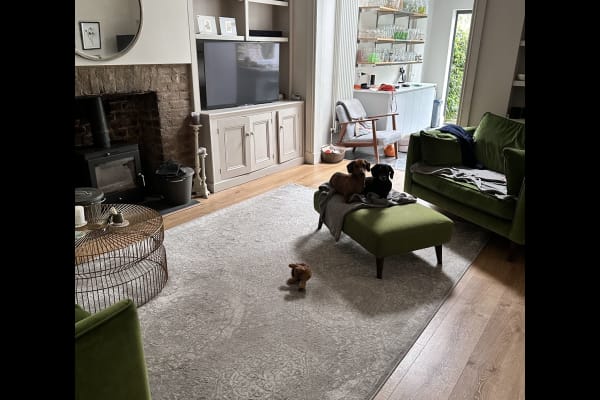 House sit in Balham, United Kingdom