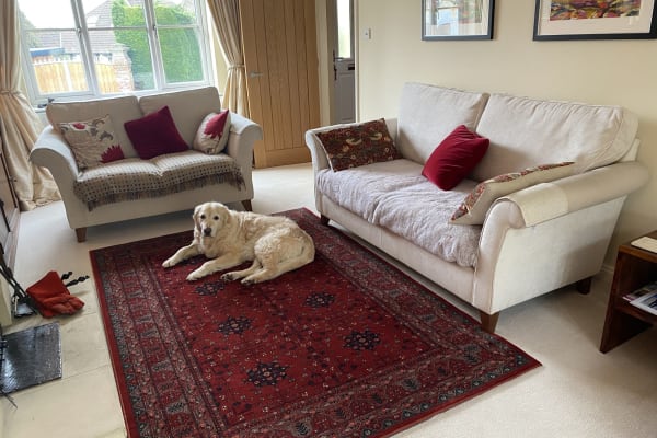 House sit in Chipping Sodbury, United Kingdom