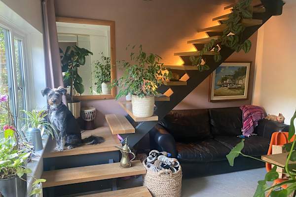 House sit in Wokingham, United Kingdom