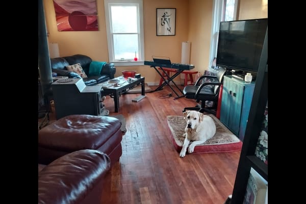 House sit in La Veta, CO, US