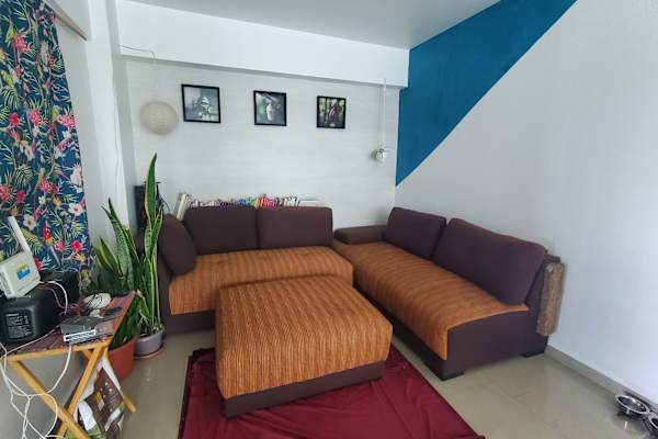 House sit in Mexico City, Mexico