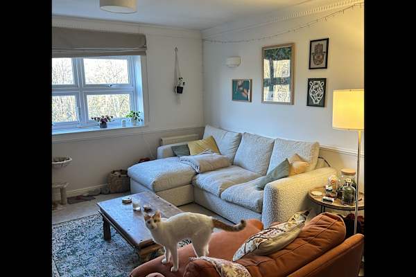 House sit in Balham, United Kingdom
