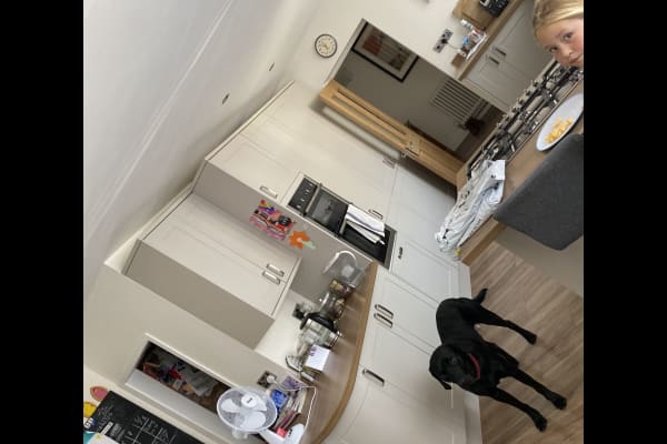 House sit in Keynsham, United Kingdom