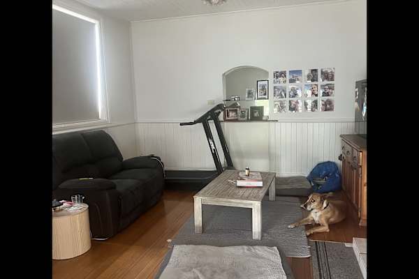 House sit in Scottsdale, TAS, Australia