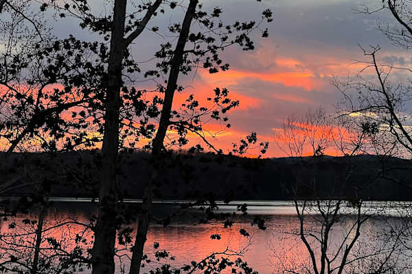 House sit in Gainesville, GA, US