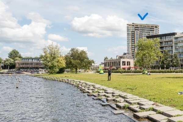 House sit in Amsterdam, Netherlands