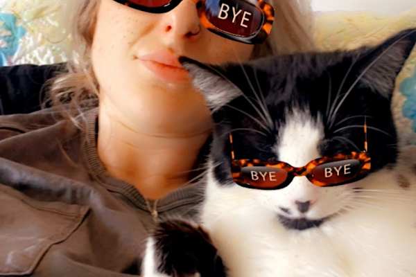 House sit in Christchurch, New Zealand