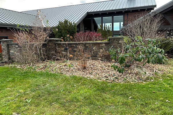 House sit in Saanichton, BC, Canada