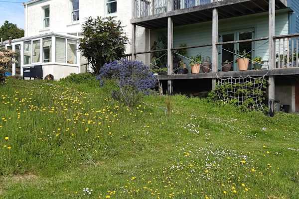 House sit in Bodmin, United Kingdom