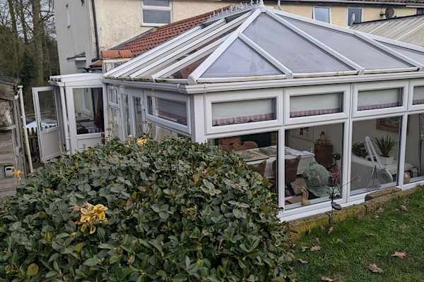 House sit in Norwich, United Kingdom