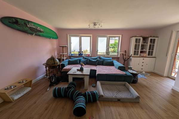 House sit in Nürnberg, Germany