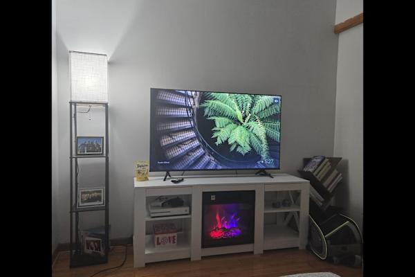 House sit in Brooklyn, NY, US