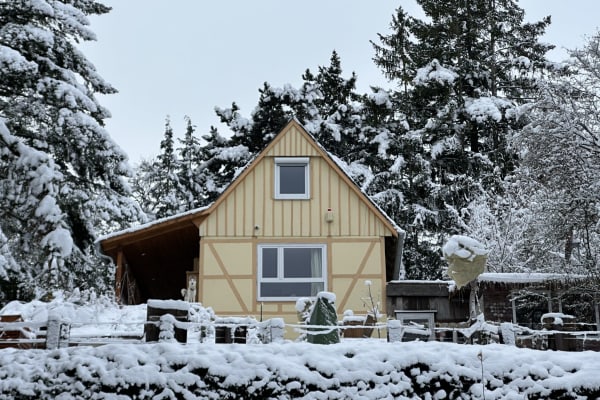 House sit in Stuttgart, Germany
