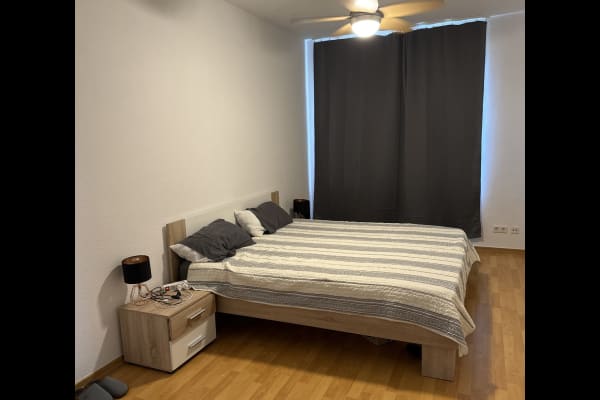 House sit in Düsseldorf, Germany