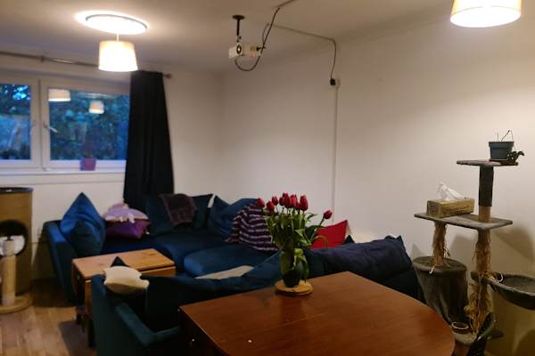 House sit in Glasgow, United Kingdom