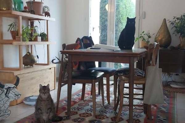 House sit in Saint-Julien-en-Genevois, France