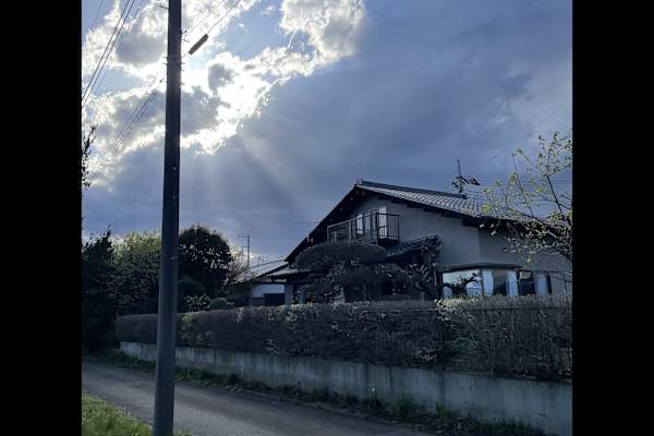 House sit in Tsukuba, Japan
