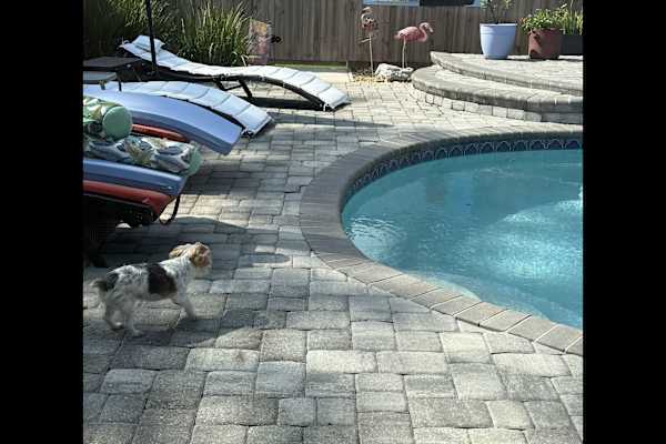 House sit in Pensacola, FL, US