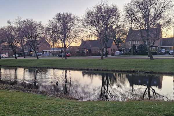 House sit in Barendrecht, Netherlands