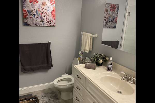 House sit in Clearwater, FL, US