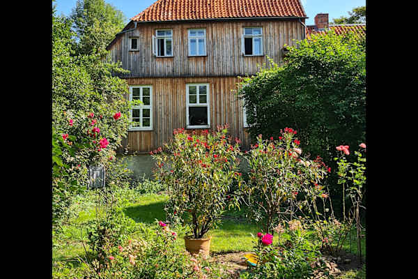 House sit in Lüchow, Germany