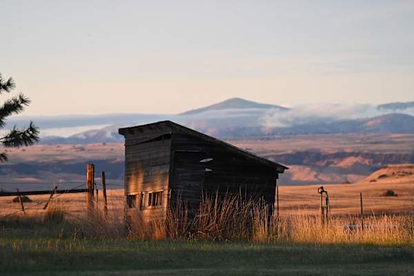 House sit in Bridgeport, WA, US