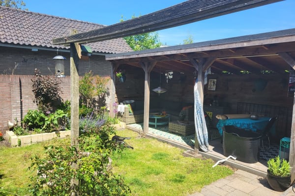 House sit in Hilversum, Netherlands